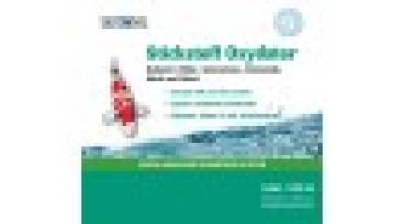 Stickstoffoxidator