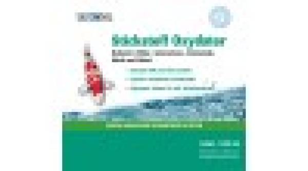Stickstoffoxidator Stickstoffoxidator